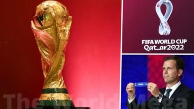 How to Qatar FIFA World Cup does the tournament 2022 work